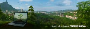 Vista en miniatura