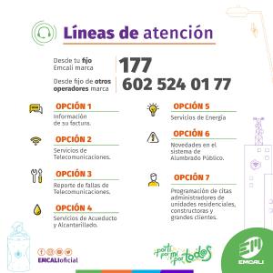 Vista en miniatura