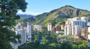Vista en miniatura