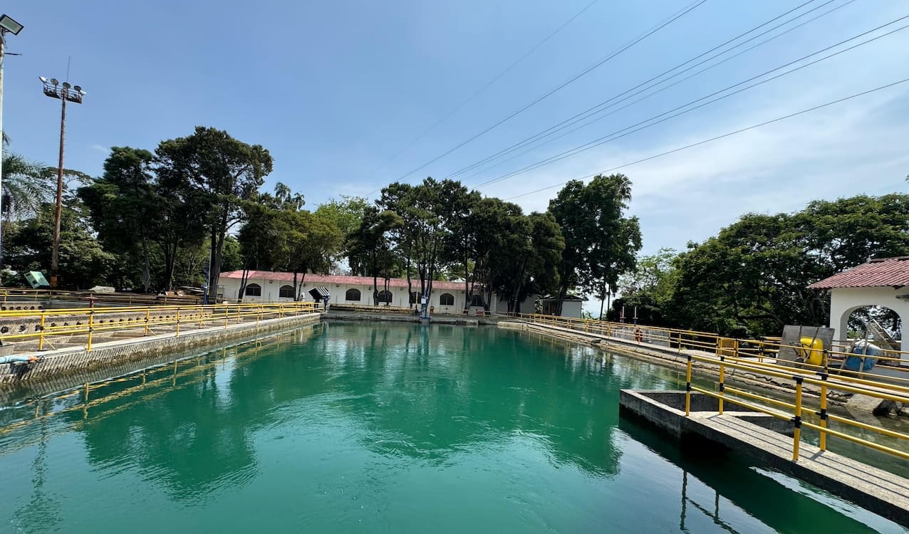 Planta Río Cali